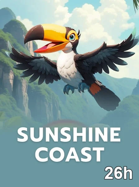 Usuário acessando serviços VIP com segurança online